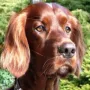 Danny mit einem super Portrait zum Jahresanfang 2010!