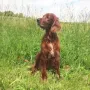 Unser Danny-Bär