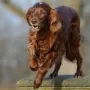 Immer guter Laune