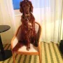 Deputy Daniel im Hotelzimmer