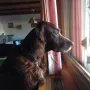 Ich hab alles im Blick...
