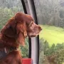 Deputy Daniel in der Gondel, auf geht´s zum Berg. 