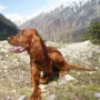 Diego ist ins Ausland gezogen, zu Katja Michalak nach Blagoevgrad/Bulgarien 