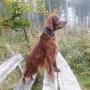 Duke mit 11 1/2 Jahren an Allem interessiert