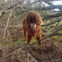 Duke mit 12,5 Jahren an allem interessiert