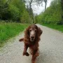 Duke bald 14 Jahre und flott dabei