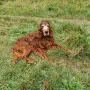 Duke nun 14 Jahre
