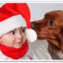 Wir gratulieren zum neuen Familienmitglied.