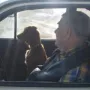 Vorstehtraining in Ungarn Oktober 2007 - mit Jagdhundeführer Janosch bei der Kontrollfahrt