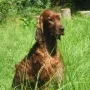 Donerl im Urlaub Juli 2009