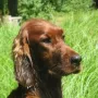 Donerl im Urlaub Juli 2009