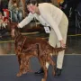 Donerl an der CACIB Nürnberg 2012
