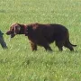 Donerl zur Vorbereitung auf die HJS 2012