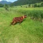 Donerl, meine perfekte Vorsteherin