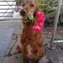 Donerl an ihrem 10. Geburtstag