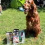 Landesveteranensieger Bayern 2017