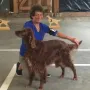 BOB Best of Breed mit 10! Jahren