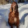 Unsere Donerl, bald 12 Jahre alt