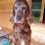 Donerl fertig getrimmt