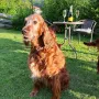 Donerl 13 Jahre 