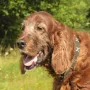 Einstein 13 Jahre