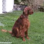 Branka im Mai 2005