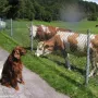 Hey, wer seid ihr denn???