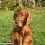Branka im November 2006