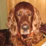 Winny auf der Anklam im März 2011
