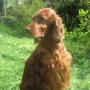 Winny im Mai 2010