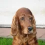 Winny im Juli 2013