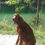 Eyco in Kürze 12 Jahre alt 