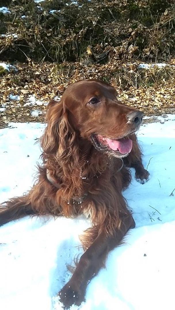 Das erste...!! Bild von Falko mit 10 1/2 Jahren; wir freuen uns