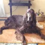 Falko 11 Jahre..!!
