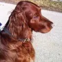 Flori im Februar 2012