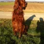 Wieder ein schönes Bild von Flori im April 2012