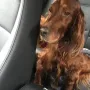Flori immer dabei