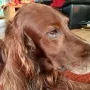 Flori 9 Jahre alt