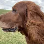 Flori bald 12 Jahre