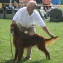 Fredy an der CACIB Leipzig 2009