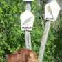 Fredy mit dem Jagdwegweiser