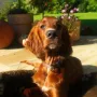 Geri im September 2009