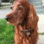 Gin mit knapp 11 Jahren