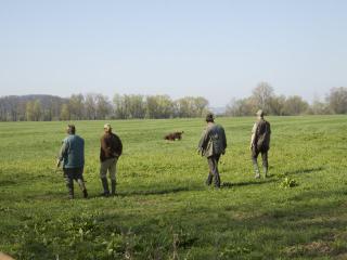 Grex vom Gebirgsjägerhof