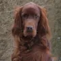 Und auch im März 2010 sehe ich aus wie meine Mama Winny!