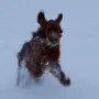Der Schnee macht Spaß, einfach toll!