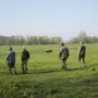 Grex liegt bei der Jugendsuche gut im Rennen!