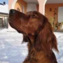 Giulia im Januar 2010