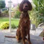 Golda hat sich gut rausgeputzt, im Februar 2010.
