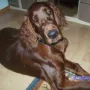 Hercules, ein toller Mann!